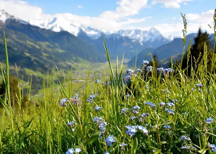 Malisgarten - Adults Only Hotel 5*